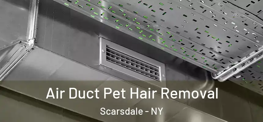  Air Duct Pet Hair Removal Scarsdale - NY