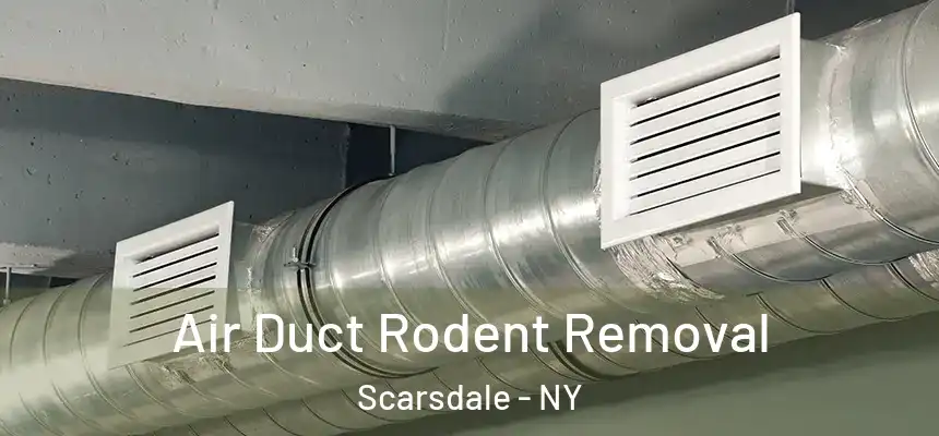  Air Duct Rodent Removal Scarsdale - NY