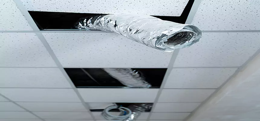 Our Air Duct Pet Hair Removal Services in Scarsdale, NY