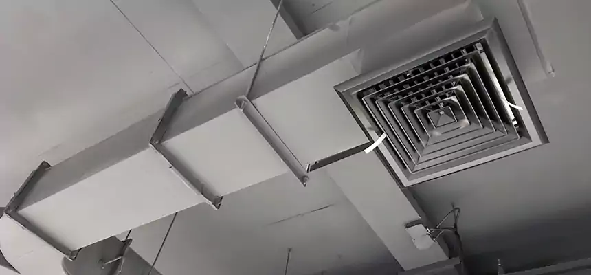 Restorative Allergy Relief Vent Cleaning – Coil, Blower & Housing Detail in Scarsdale