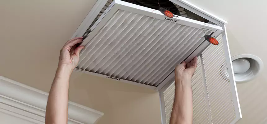 Our Insect Removal from Air Ducts Services in Scarsdale, NY