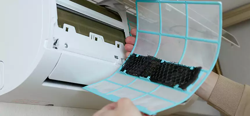 Gentle Ductwork Odor-Control Pet Dander Duct Cleaning in Scarsdale, NY