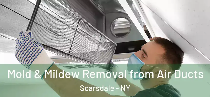  Mold & Mildew Removal from Air Ducts Scarsdale - NY