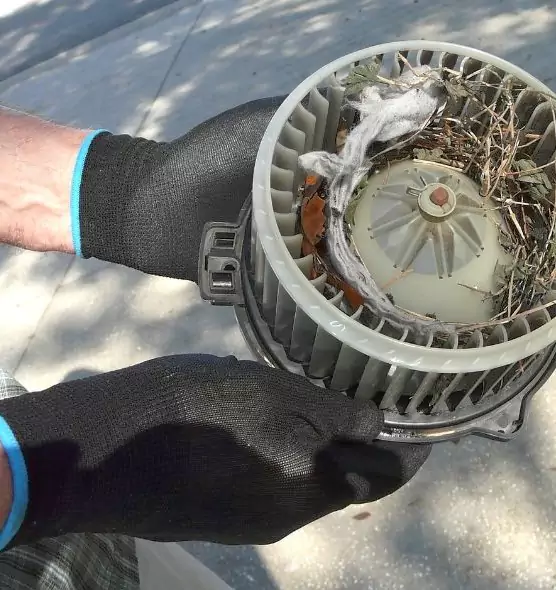 About Air Duct Mice Removal in Scarsdale, NY