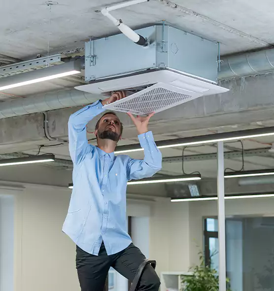 Advanced Rodent Droppings In Vents in Scarsdale, NY