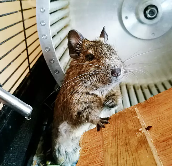 Why Homeowners & Businesses Trust Us Scarsdale, NY